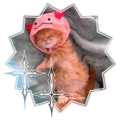 cat: @monkeycatluna